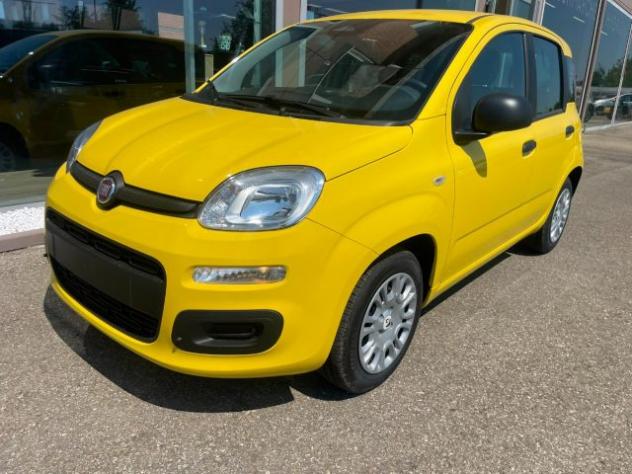 FIAT Panda 1.0 FireFly S&S Hybrid Pandina rif. 23992882
