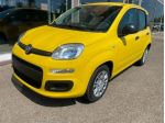 FIAT Panda 1.0 FireFly S&S Hybrid Pandina rif. 23992882