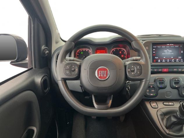 FIAT Panda Cross Panda III 2021 Cross Panda 1.0 firefly hybrid City Cross s&s 70cv 5p.ti - Foto 10