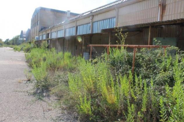 Immobile in asta di 41493 m² in vendita a Asciano - Foto 7