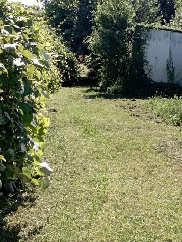 Terreno agricolo in vendita a La Vettola - Pisa 3650 mq Rif: 1275725 - Foto 4
