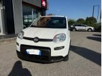 FIAT Panda 1.0 FireFly 70cv S&S Hybrid Pandina