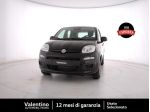 FIAT Pandina 1.0 firefly hybrid Icon s&s 65cv