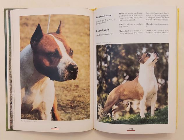 L'american Staffordshire Terrier di Fiorella Gariglio Meina Ed.De Vecchi, 2005 - Foto 5