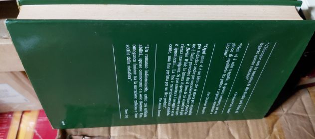 Libro_"Berlin wild": - Foto 3
