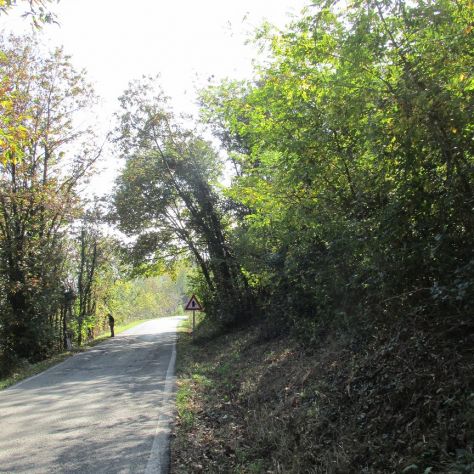 Terreno Boschivo - Foto 2