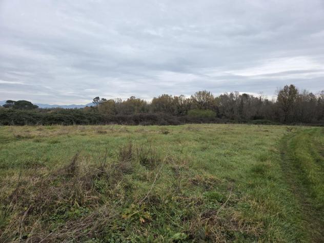 Terreno agricolo in vendita a Orentano - Castelfranco di Sotto 5000 mq Rif: 1383545 - Foto 5