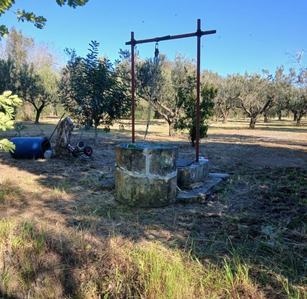 Uliveto da 1.86 ha - a Sud di Brindisi - Foto 10