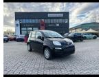 FIAT Pandina 1.0 65cv Hybrid My26 1.0 65cv Hybrid Icon
