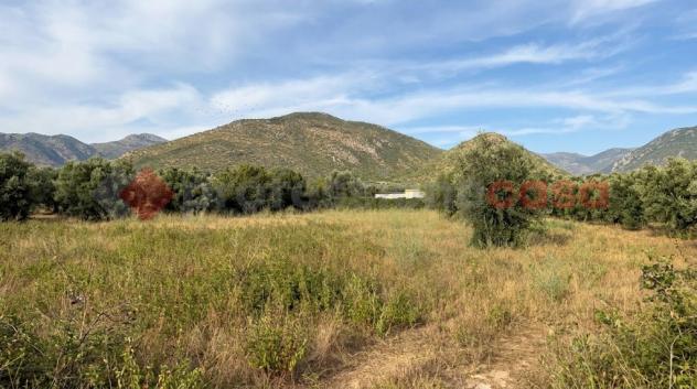 Terreno Agricolo - Tivoli . Rif.: Cod. rif 3337870VCG - Foto 4