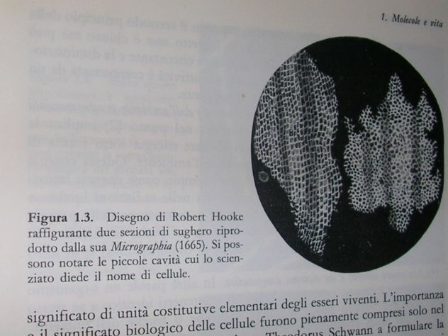 INTRODUZIONE ALLA BIOCHIMICA - Foto 4