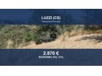 Immobile in asta di 3560 m² in vendita a Luzzi