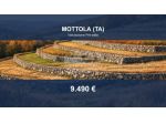 Immobile in asta di 17831 m² in vendita a Mottola
