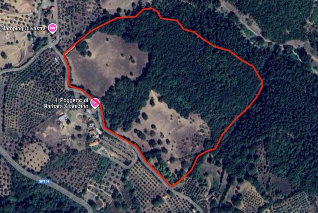 Terreno agricolo in vendita a Montorgiali - Scansano 103300 mq Rif: 1392018 - Foto 2