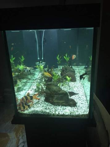 Acquario Juwel 180Lt con Mobiletto Juwel - Foto 2