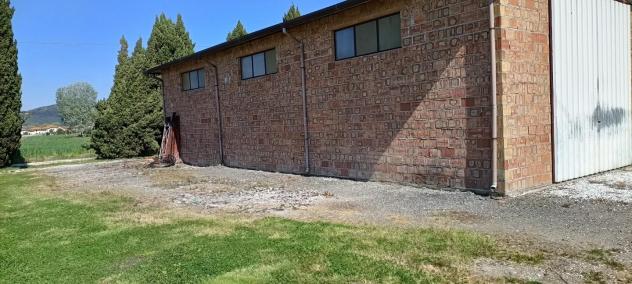 Capannone artigianale in vendita a Vecchiano 180 mq Rif: 1343707 - Foto 3