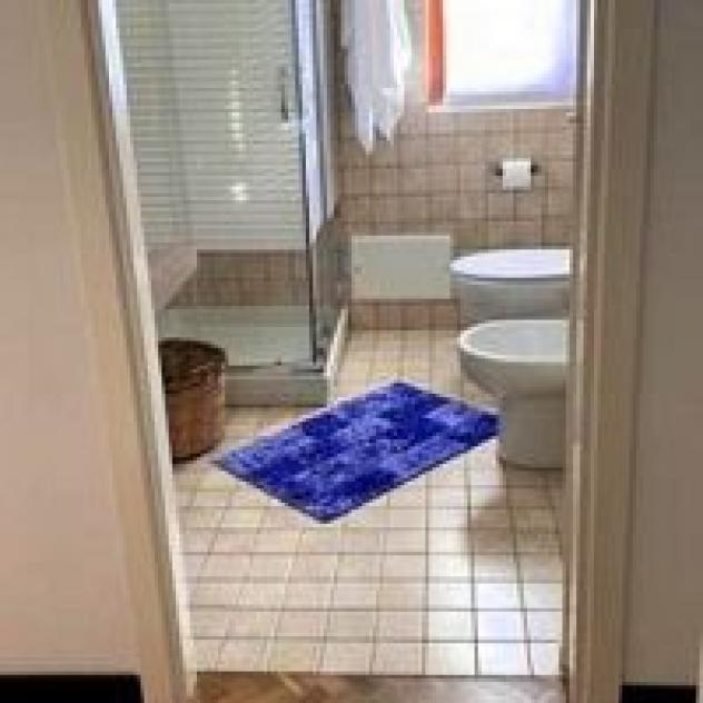 B&B Ibiscus