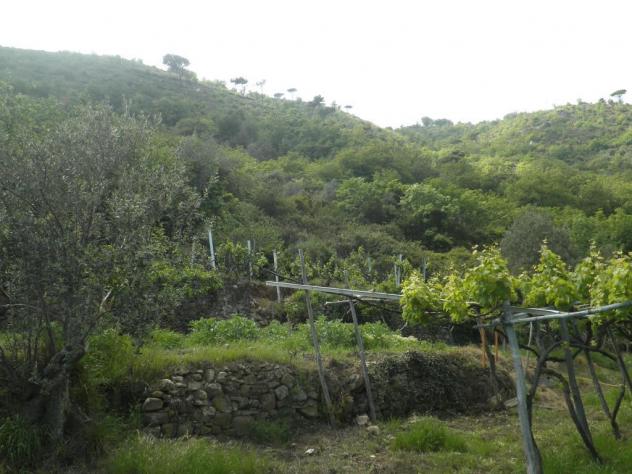 grande rustico vista mare con terreno - Foto 13