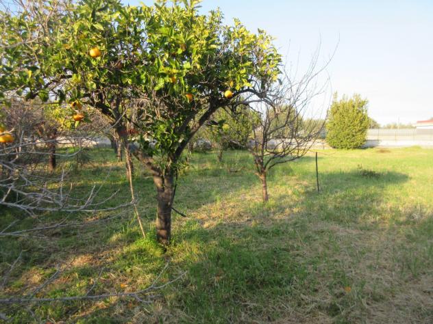 Terreno in vendita a Augusta - Foto 7