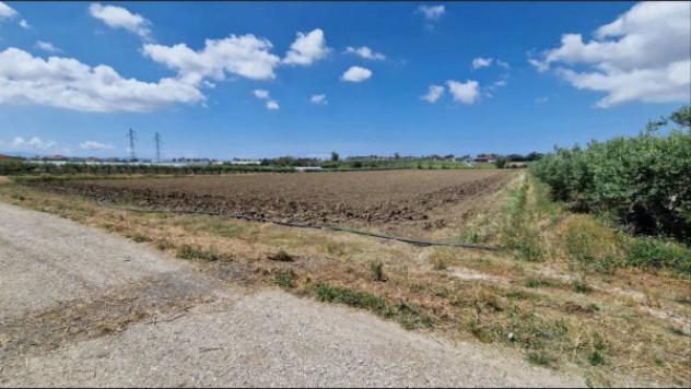 Immobile in asta di 32500 m² in vendita a Eboli - Foto 8