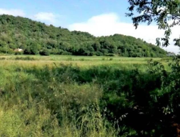 Immobile in asta di 18225 m² in vendita a Teolo - Foto 14