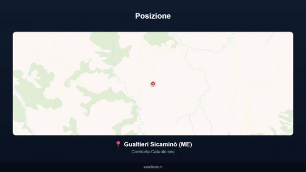 Immobile in asta di 2869 m² in vendita a Gualtieri Sicaminò - Foto 17
