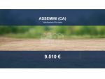 Immobile in asta di 1710 m² in vendita a Assemini