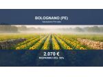 Immobile in asta di 4920 m² in vendita a Bolognano