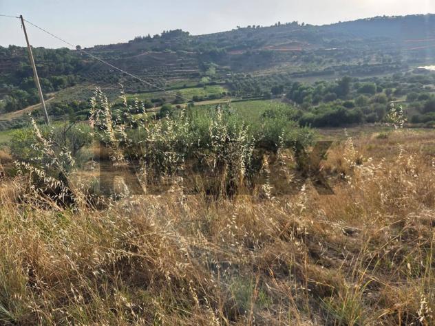Terreno in vendita a Caltagirone - Foto 3