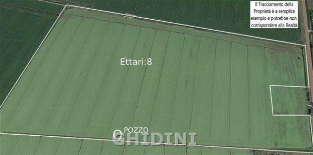 TERRENO AGRICOLO di 1 vani e di 80000 mq (ORBETELLO - ALBINIA) rif. 2375.272M