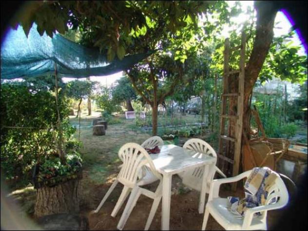 Terratetto in vendita a Fosdinovo - Foto 3