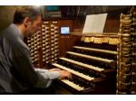 Organista professionista Milano