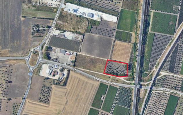 Terreno Agricolo - San Severo . Rif.: Cod. rif 3333384VRG - Foto 4