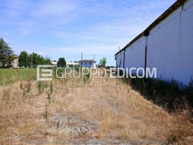 Fabbricati costruiti per esigenze commerciali in vendita a Rovigo - Rif. 3561792 - Foto 8