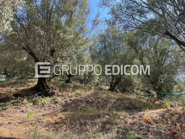 Terreno in vendita a Galatro - Rif. 4547204
