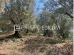 Terreno in vendita a Galatro - Rif. 4547204