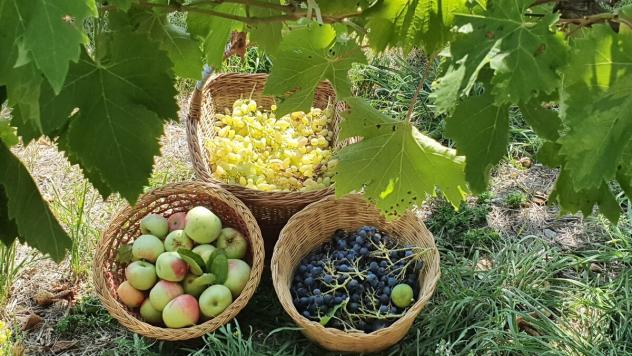 Bifamiliare in vendita a Civitella Casanova - Foto 10