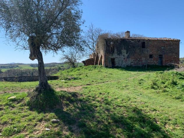 Rustico in vendita a Asciano 9500 mq Rif: 1340021 - Foto 10