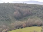 Terreno agricolo in Moscufo (PE)