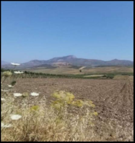 Immobile in asta di 14510 m² in vendita a Monreale - Foto 5