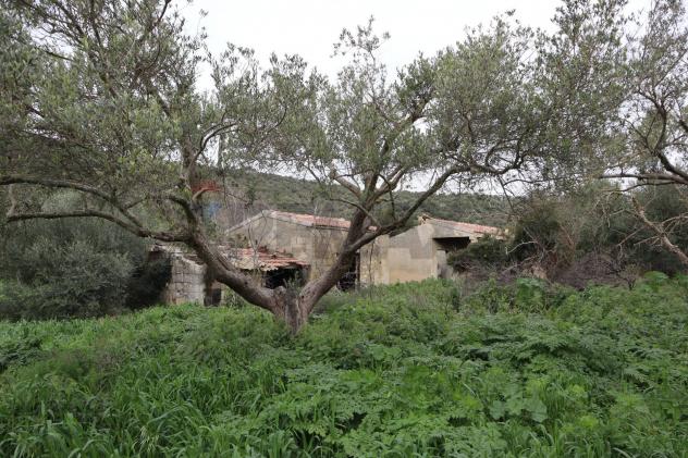 Cascina/Casale in vendita a Ragusa, Americhe - Foto 7