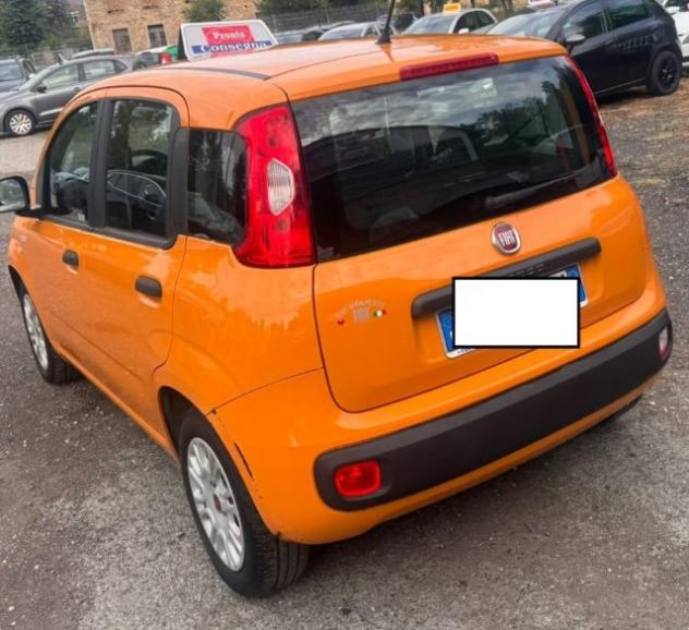 FIAT Panda 1.2 rif. 24113956 - Foto 2