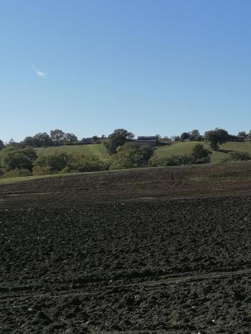 Casale in vendita a Saturnia - Manciano 200 mq Rif: 1171871 - Foto 5