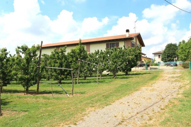 Porzione di casa in vendita a Valsamoggia - Foto 5