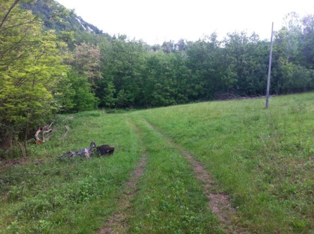 Rustico ex mulino in sassi vic.ze ruscello con terreno 3 ettari - Foto 4