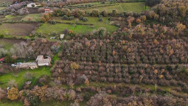 Terreno Edificabile in vendita a Randazzo, Montelaguardia - Foto 12