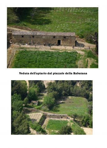 Terreno agricolo in vendita con apiario