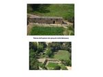 Terreno agricolo in vendita con apiario