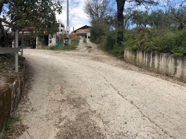 Roccadaspide loc. Fonte terreno agricolo - Foto 10