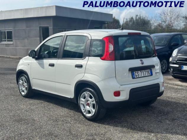FIAT Panda 1.0 FireFly S&S Hybrid rif. 24039639 - Foto 5